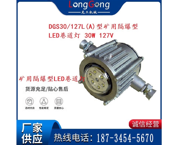 DGS30/127L(A)型礦用隔爆型LED巷道燈 30W 127V 防爆證 煤安證