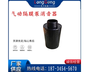 氣動隔膜泵消音器 94810 適用于BQG-350/0.2，BQG-450/0.2機型