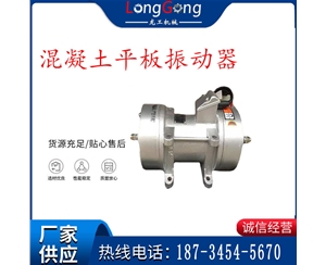 混凝土平板振動器 220V/380V 平板器 建筑用平板振動器 全銅電機